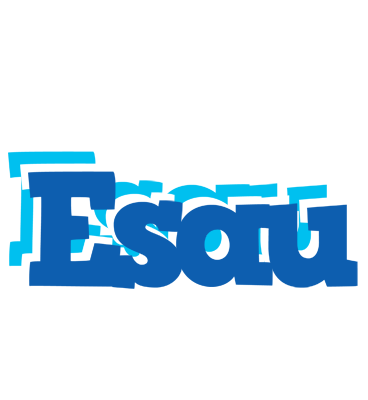 Esau business logo