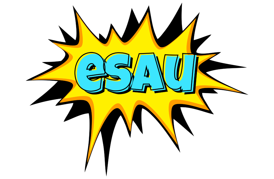 Esau indycar logo