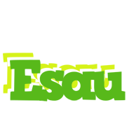 Esau picnic logo