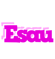 Esau rumba logo