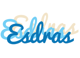 Esdras breeze logo