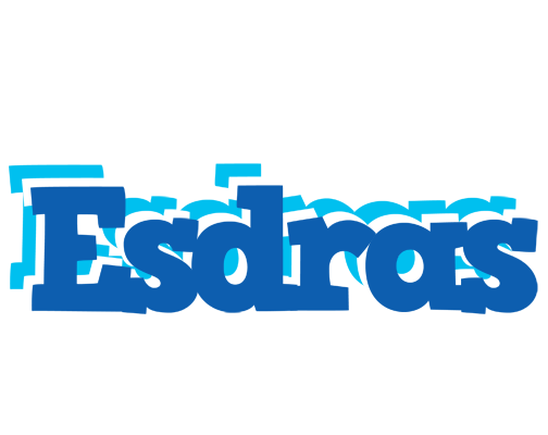 Esdras business logo