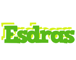 Esdras picnic logo