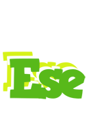 Ese picnic logo