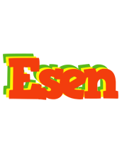 Esen bbq logo