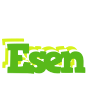 Esen picnic logo