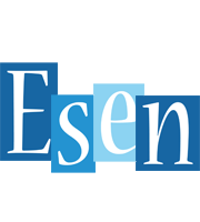 Esen winter logo