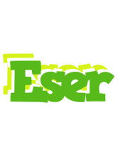 Eser picnic logo