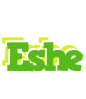 Eshe picnic logo