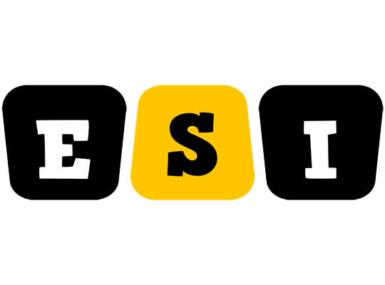 Esi boots logo
