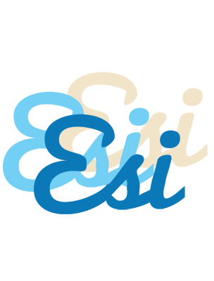 Esi breeze logo