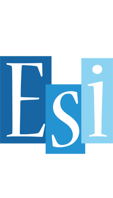 Esi winter logo