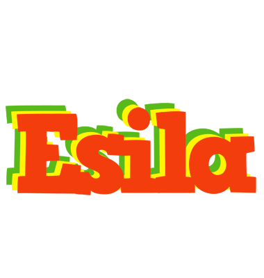 Esila bbq logo