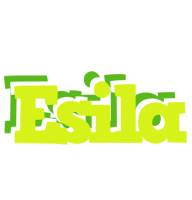 Esila citrus logo