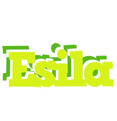 Esila citrus logo