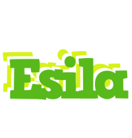 Esila picnic logo