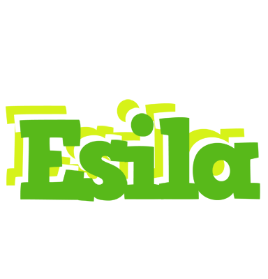 Esila picnic logo