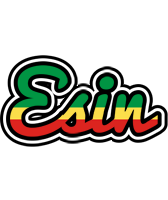 Esin african logo