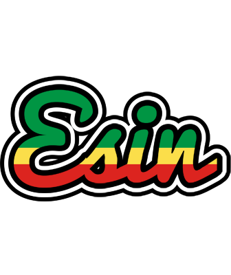Esin african logo