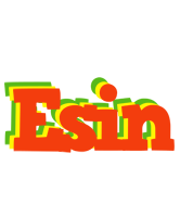 Esin bbq logo