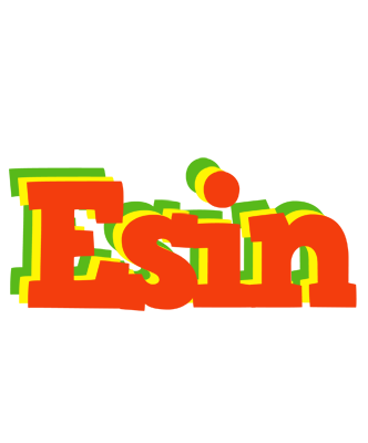 Esin bbq logo