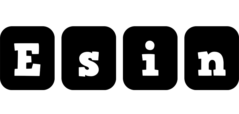Esin box logo