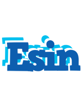 Esin business logo