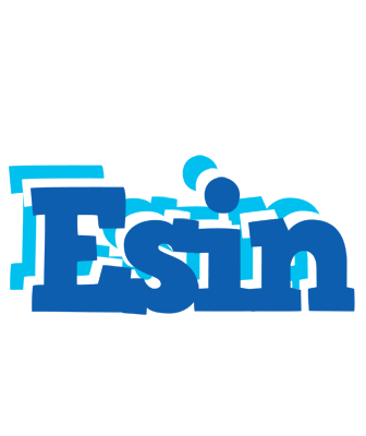 Esin business logo