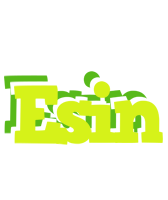 Esin citrus logo