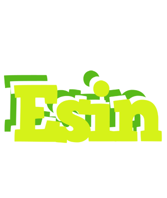 Esin citrus logo