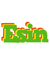 Esin crocodile logo