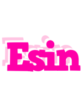 Esin dancing logo