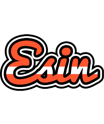 Esin denmark logo