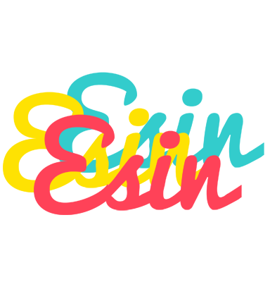 Esin disco logo