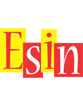 Esin errors logo