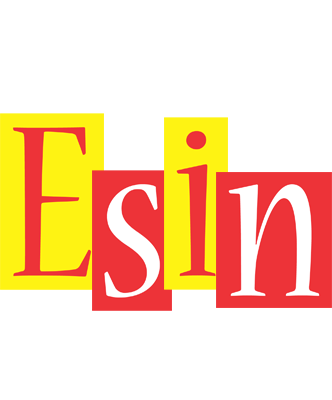 Esin errors logo