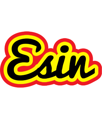 Esin flaming logo