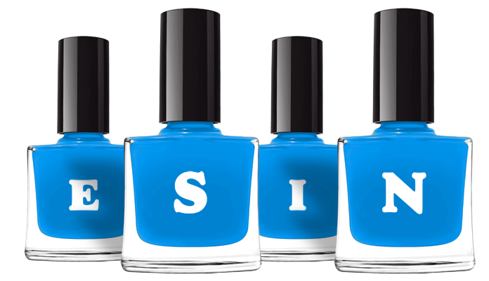 Esin glossy logo
