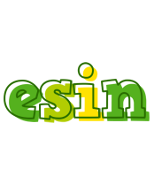 Esin juice logo