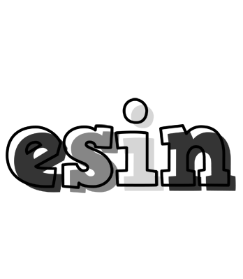 Esin night logo