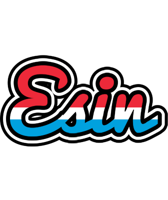 Esin norway logo