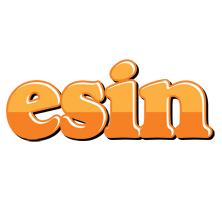 Esin orange logo