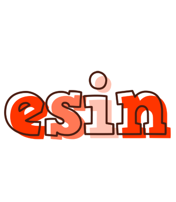 Esin paint logo
