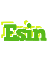 Esin picnic logo