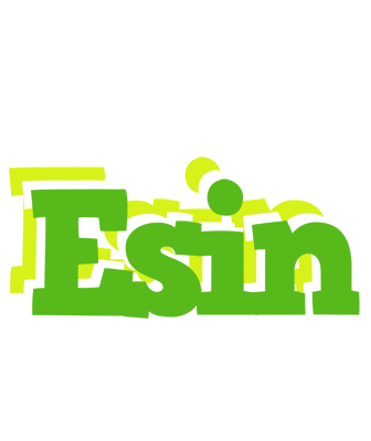 Esin picnic logo