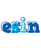 Esin sailor logo