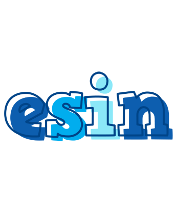Esin sailor logo