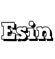 Esin snowing logo