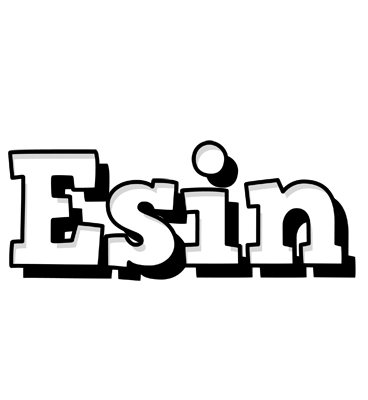 Esin snowing logo