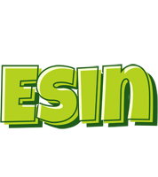 Esin summer logo